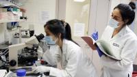 Researcher reviews image in a microscope and another researcher inputs data in a notebook